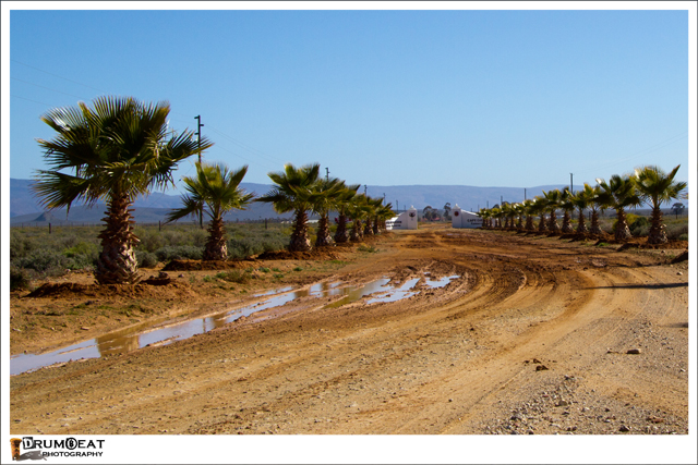 Muddy roads